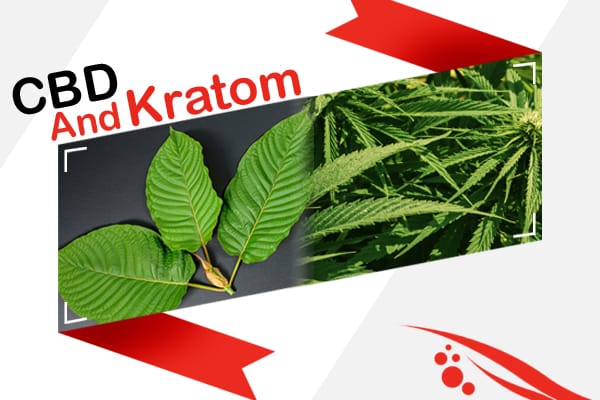 cbd vs Kratom