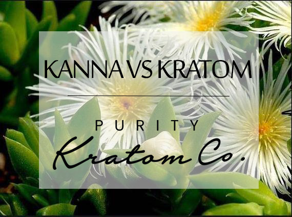 kanna kratom