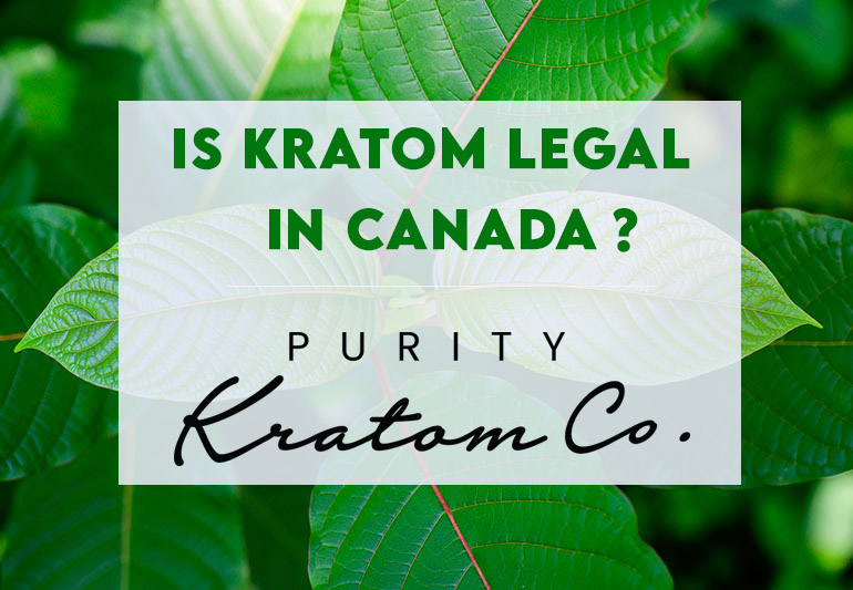 Kratom legal Canada