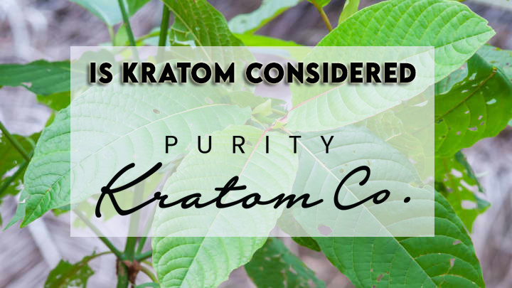 Kratom Considered