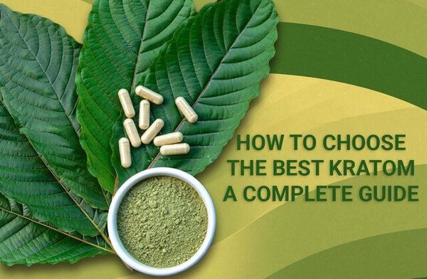 How To Choose The Best Kratom A Complete Guide